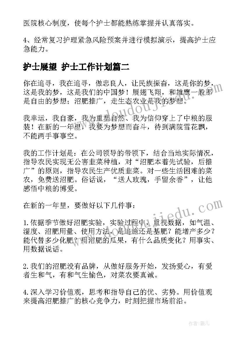 2023年护士展望 护士工作计划(优秀6篇)