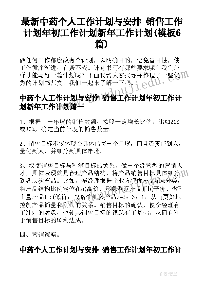 最新中药个人工作计划与安排 销售工作计划年初工作计划新年工作计划(模板6篇)