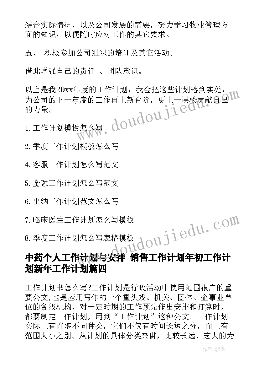 最新中药个人工作计划与安排 销售工作计划年初工作计划新年工作计划(模板6篇)