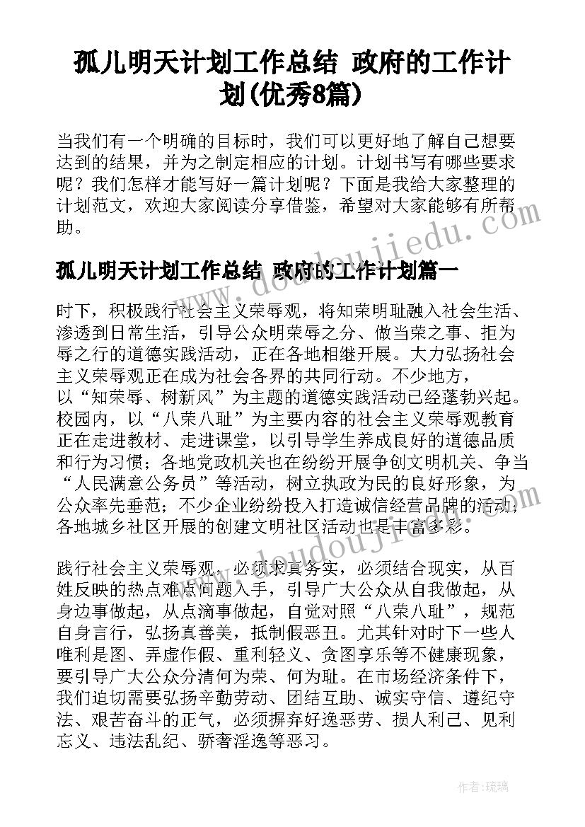 孤儿明天计划工作总结 政府的工作计划(优秀8篇)