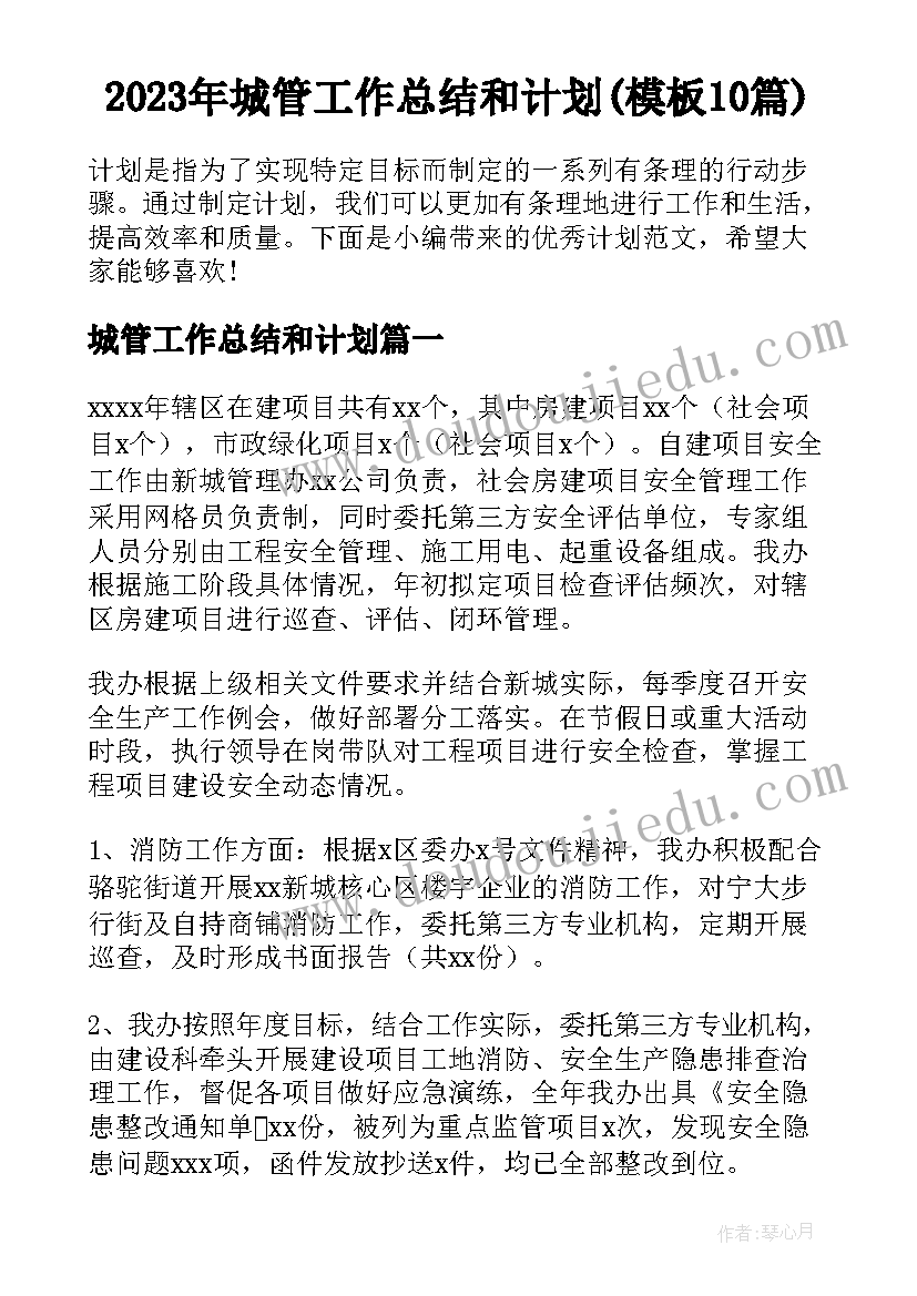 2023年城管工作总结和计划(模板10篇)