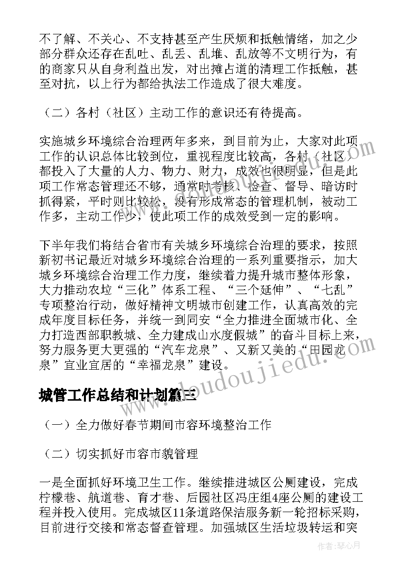 2023年城管工作总结和计划(模板10篇)