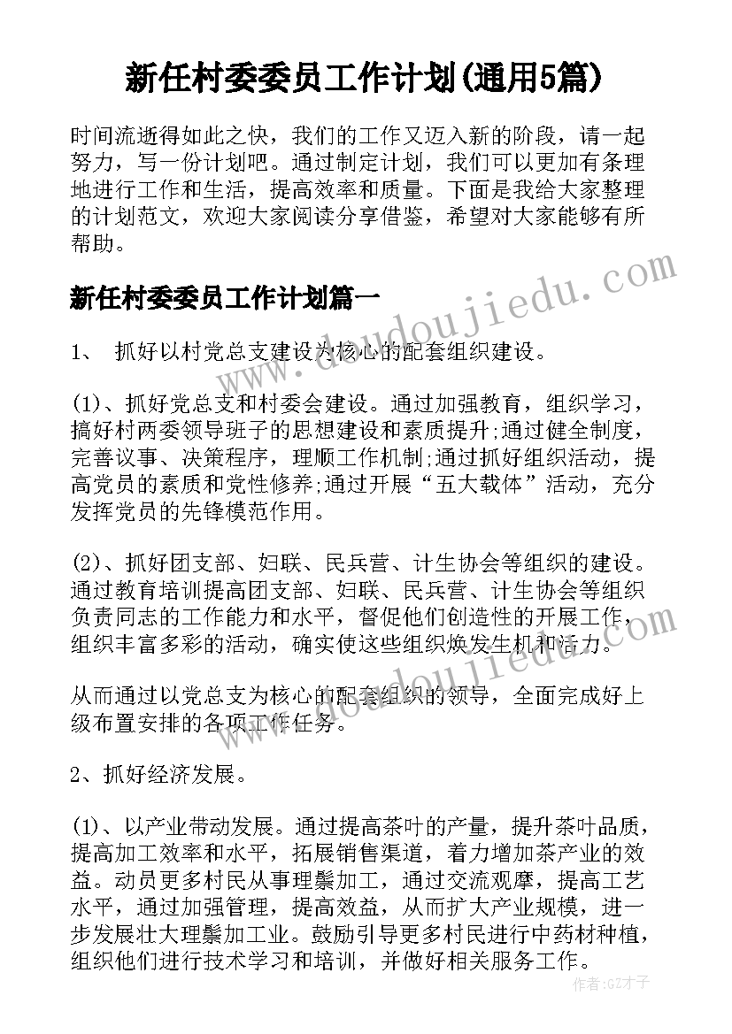 新任村委委员工作计划(通用5篇)