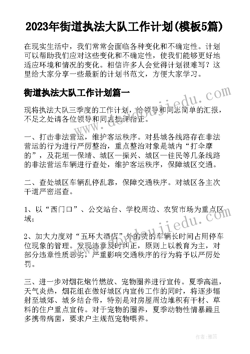 2023年街道执法大队工作计划(模板5篇)