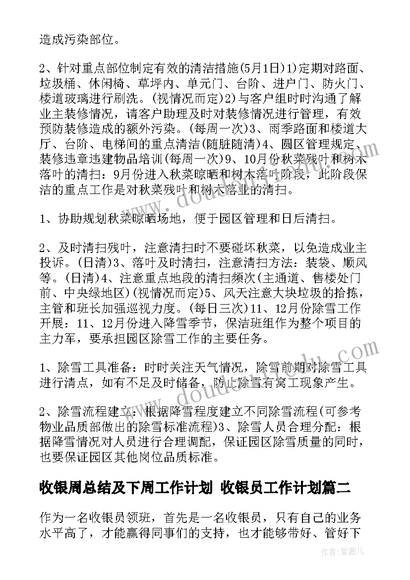 2023年收银周总结及下周工作计划 收银员工作计划(大全5篇)