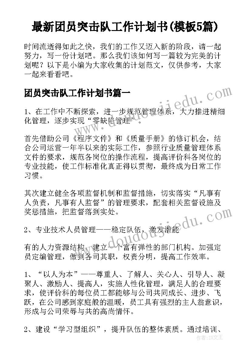 最新团员突击队工作计划书(模板5篇)