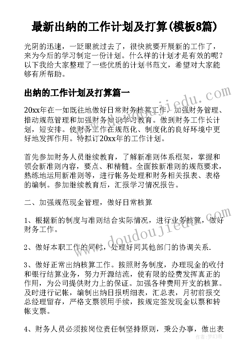 最新出纳的工作计划及打算(模板8篇)