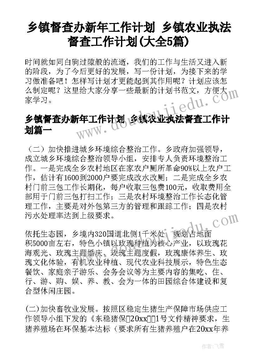 乡镇督查办新年工作计划 乡镇农业执法督查工作计划(大全5篇)