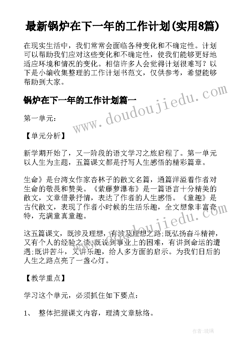 最新锅炉在下一年的工作计划(实用8篇)