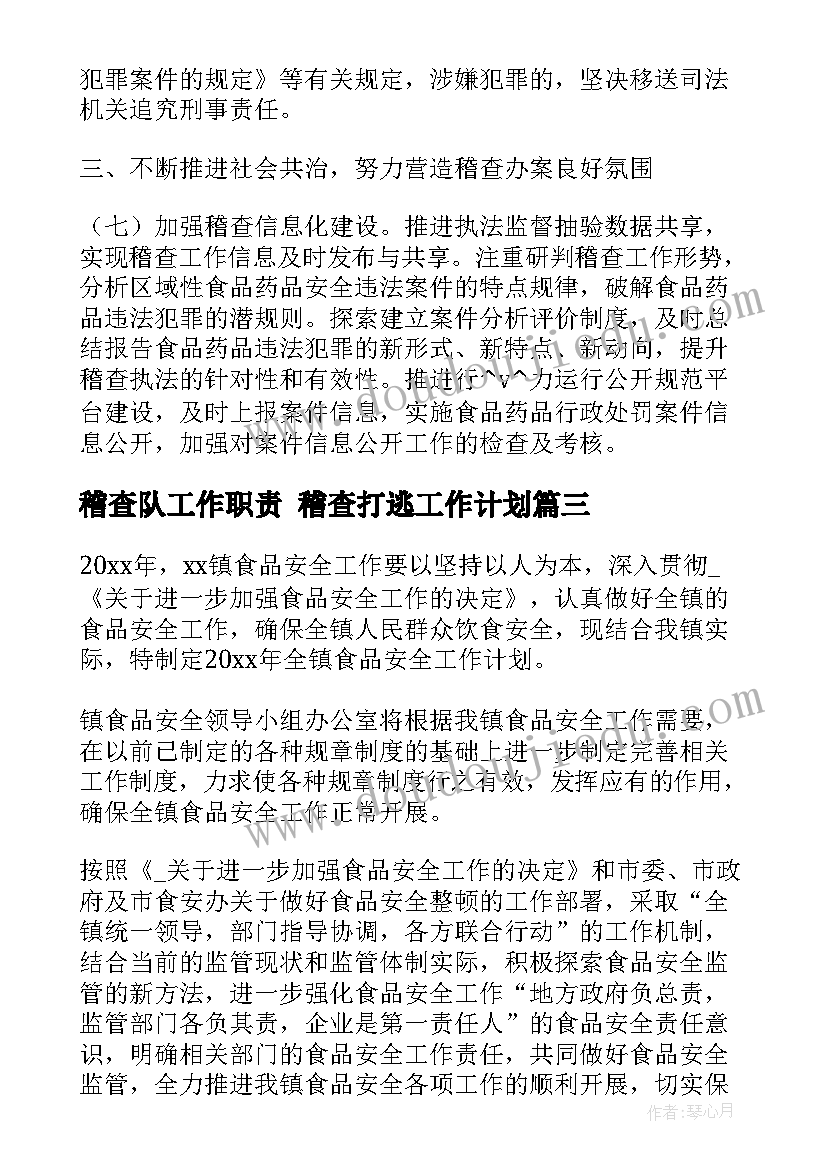 最新稽查队工作职责 稽查打逃工作计划(模板5篇)