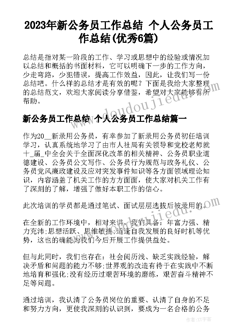 2023年新公务员工作总结 个人公务员工作总结(优秀6篇)