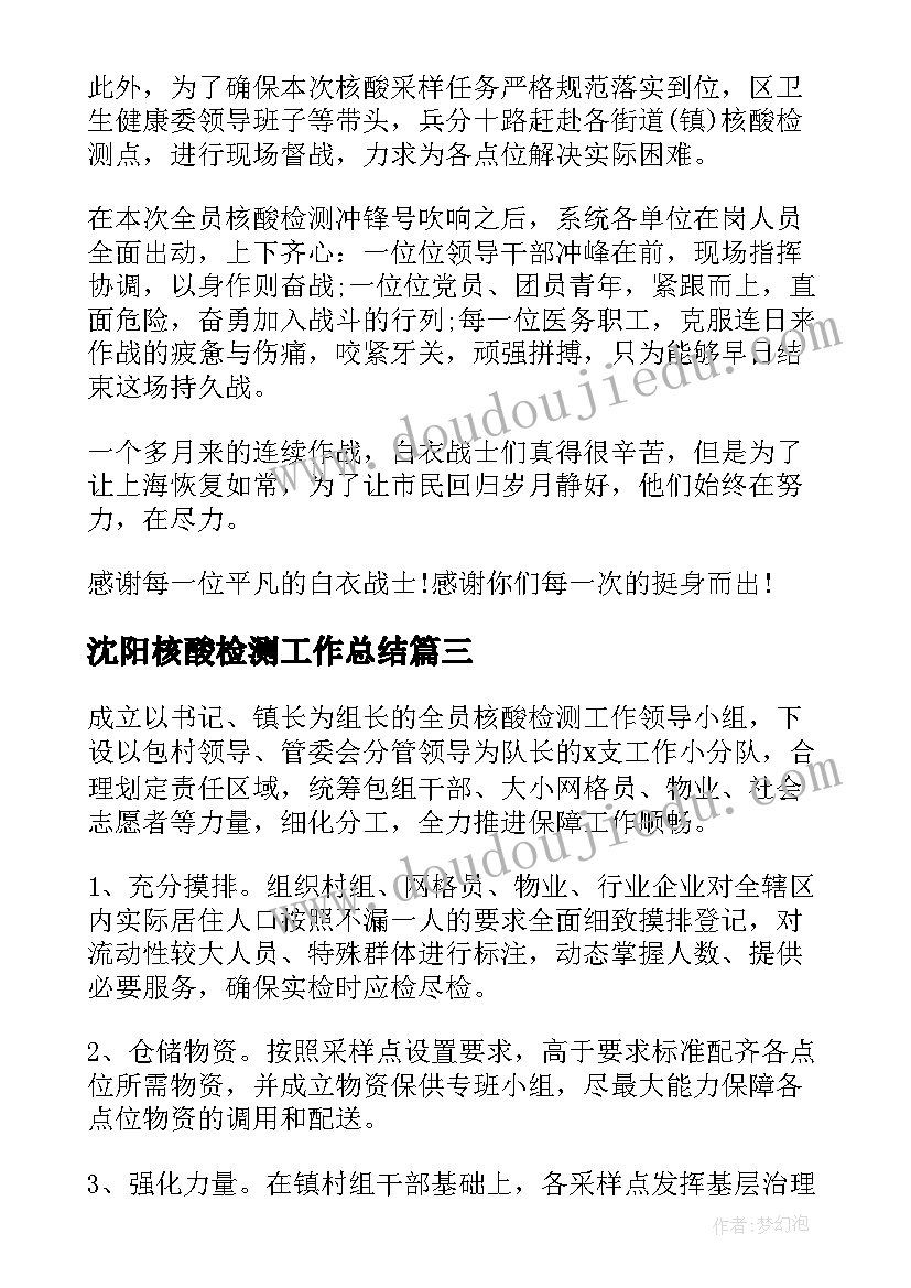 最新沈阳核酸检测工作总结(优秀5篇)