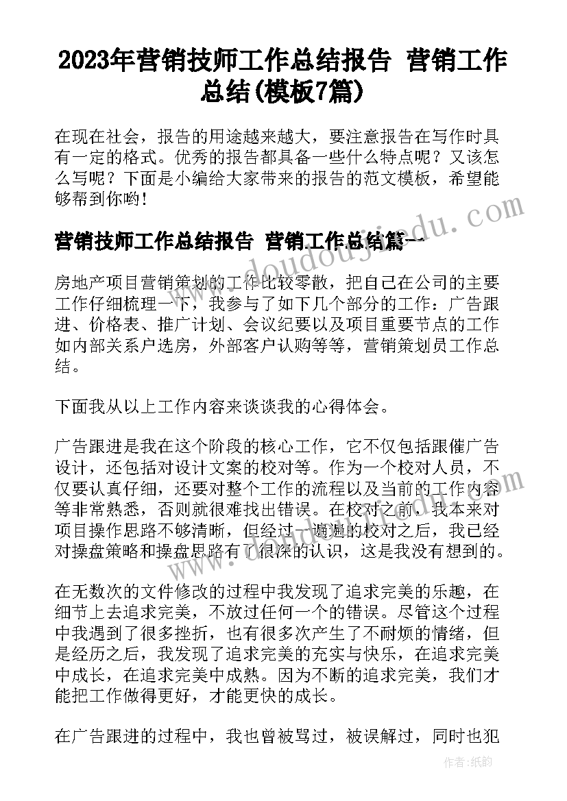 2023年营销技师工作总结报告 营销工作总结(模板7篇)