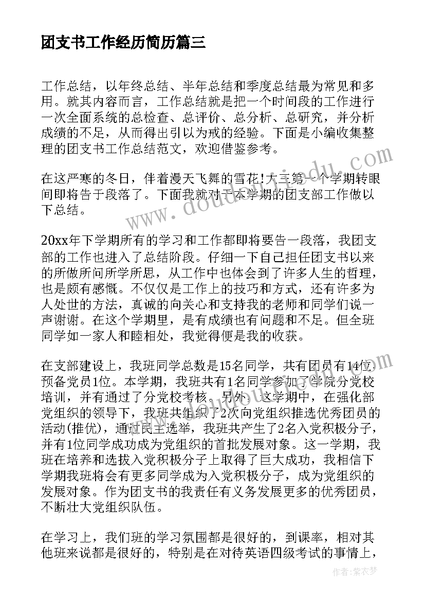 团支书工作经历简历(实用5篇)