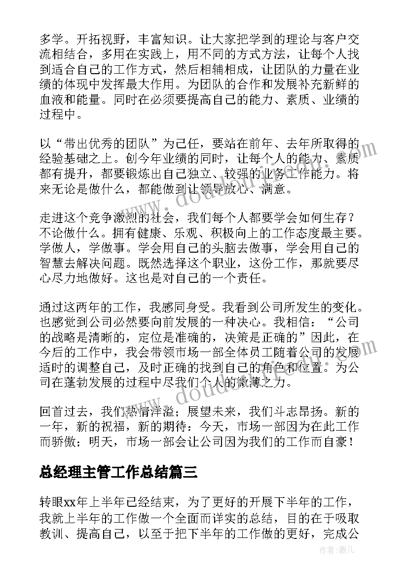 总经理主管工作总结(模板5篇)