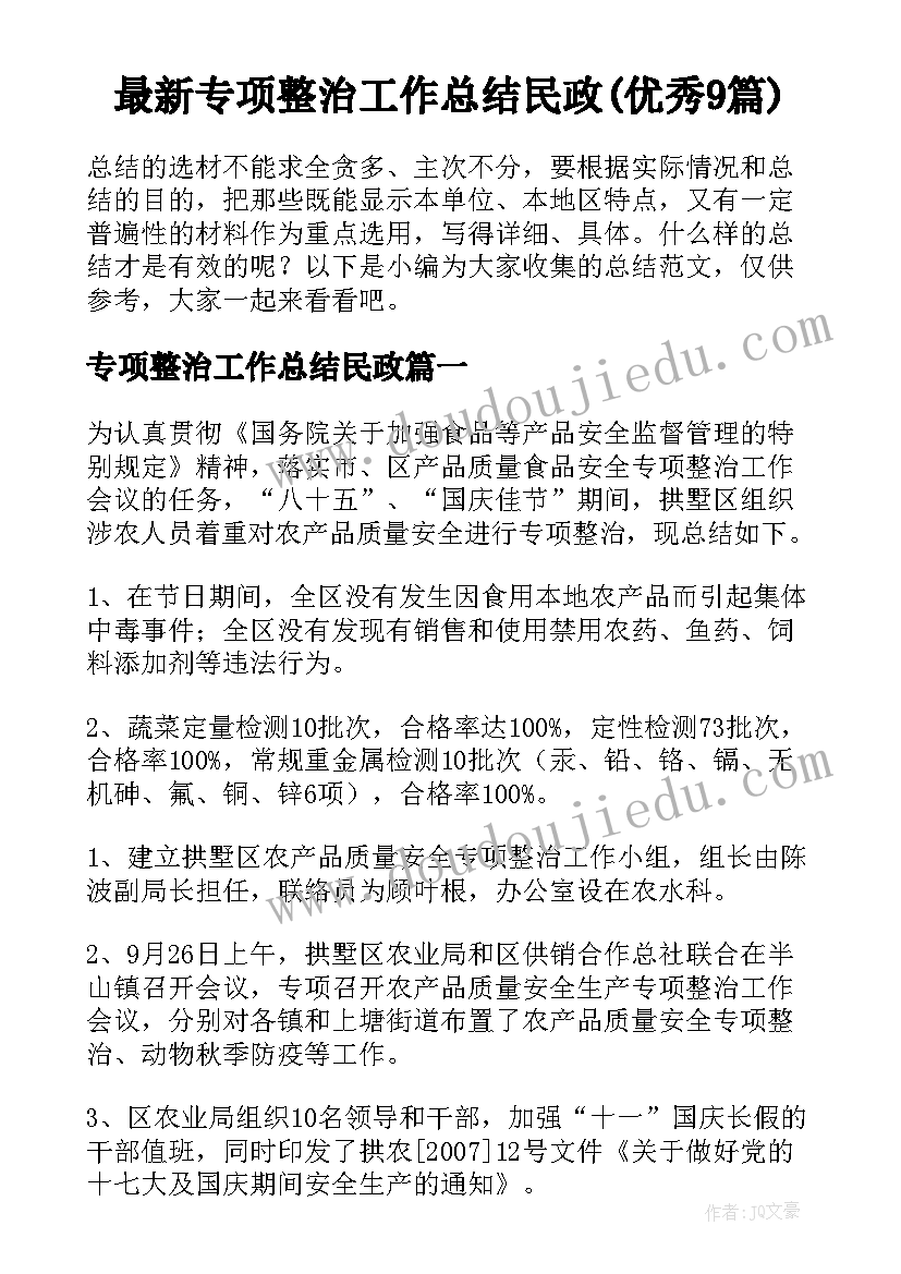 最新专项整治工作总结民政(优秀9篇)