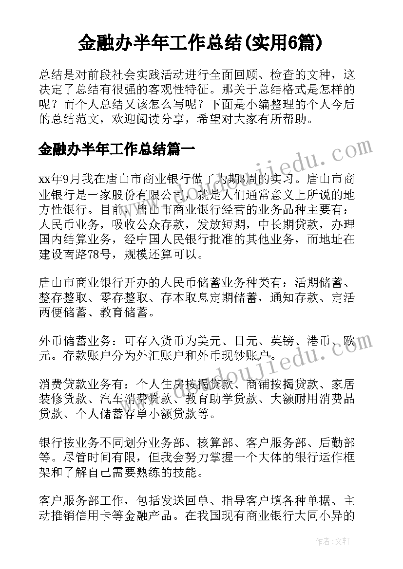 金融办半年工作总结(实用6篇)