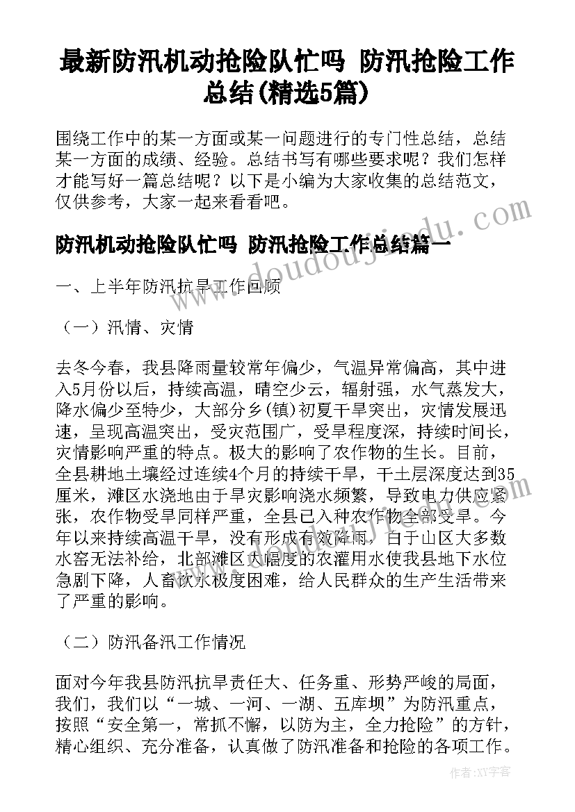 最新防汛机动抢险队忙吗 防汛抢险工作总结(精选5篇)