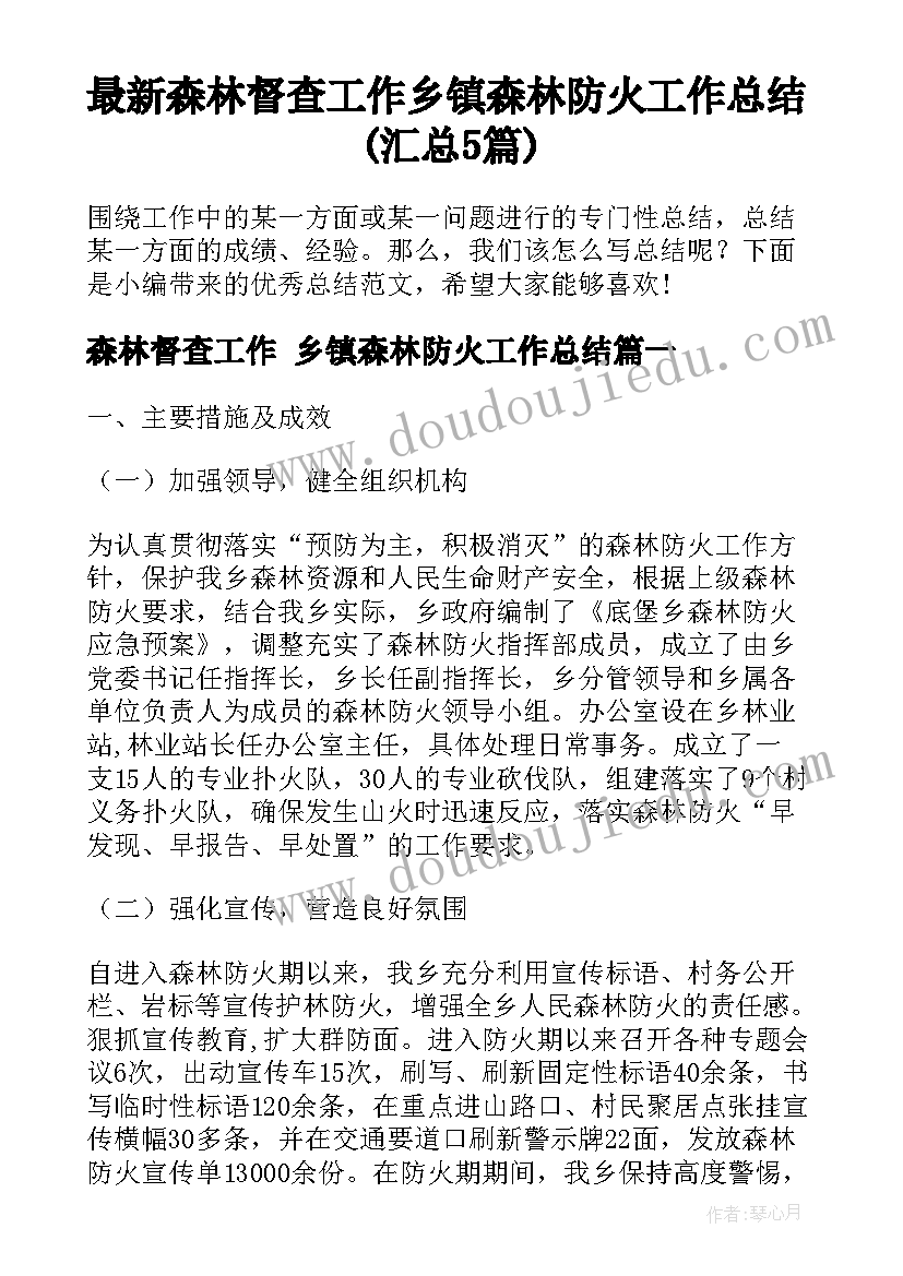 最新森林督查工作 乡镇森林防火工作总结(汇总5篇)