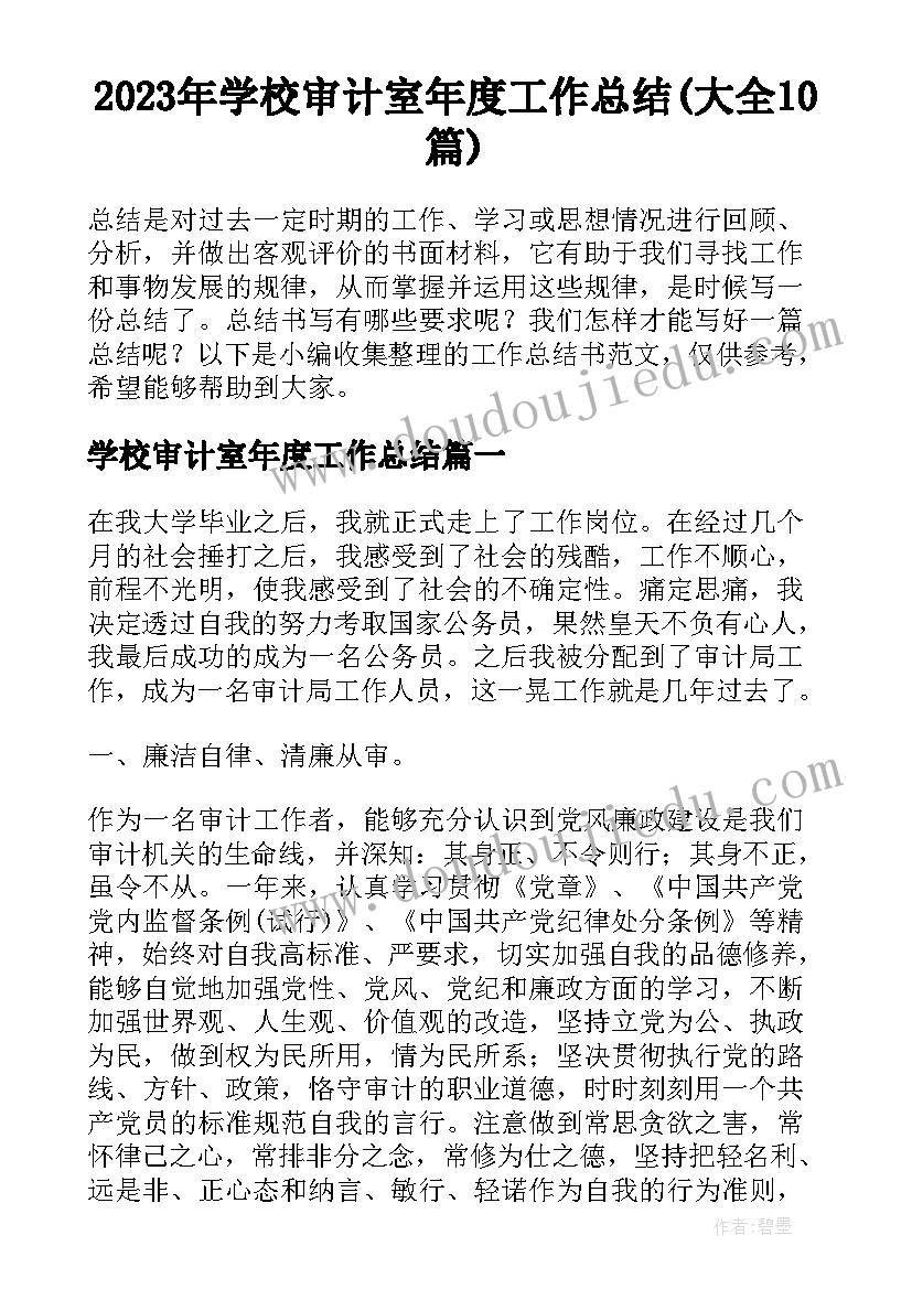 2023年学校审计室年度工作总结(大全10篇)