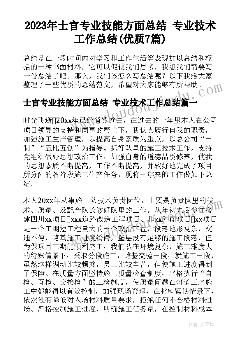 2023年士官专业技能方面总结 专业技术工作总结(优质7篇)