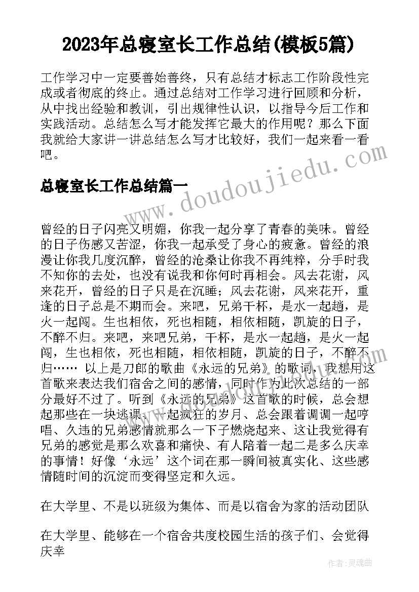 2023年总寝室长工作总结(模板5篇)