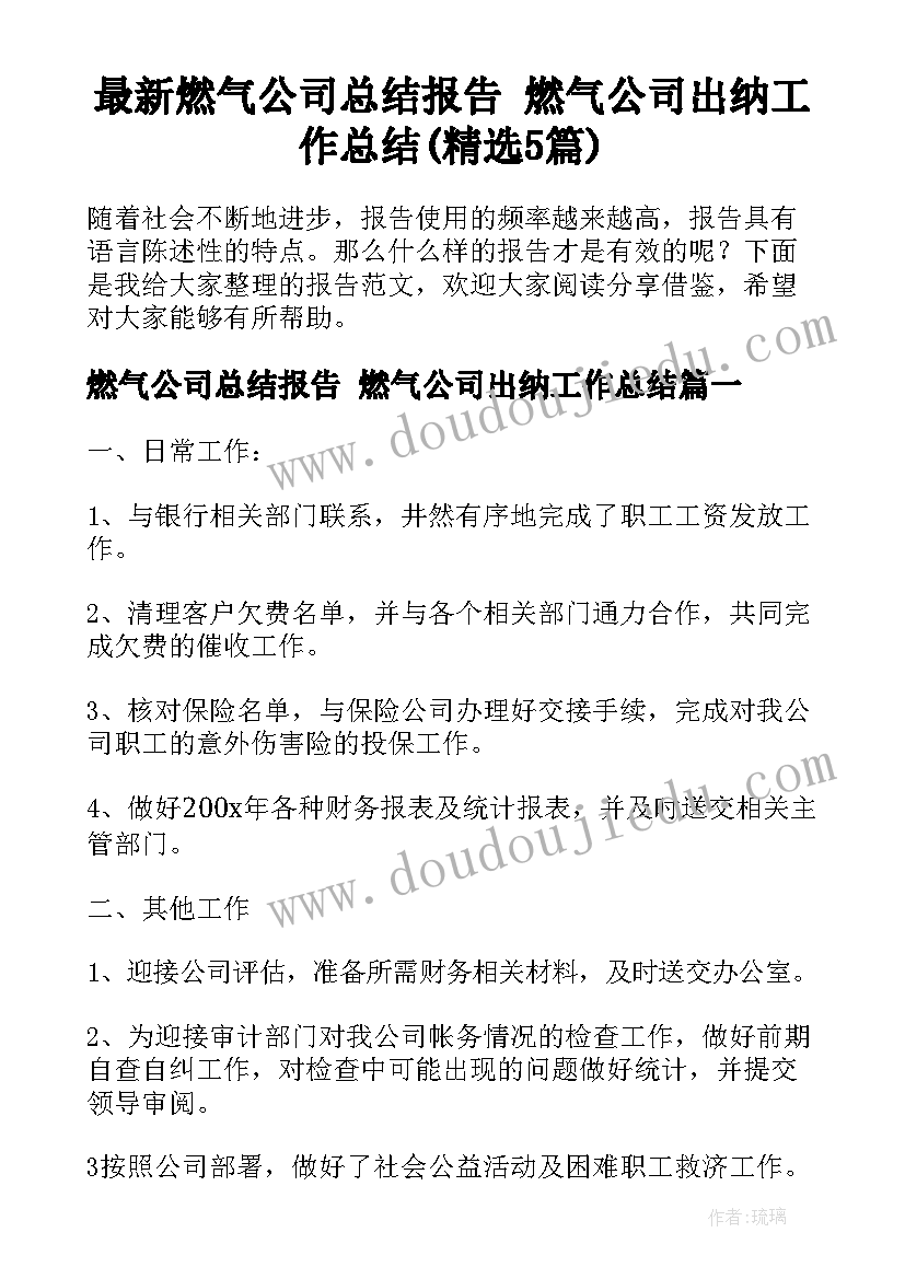 最新燃气公司总结报告 燃气公司出纳工作总结(精选5篇)