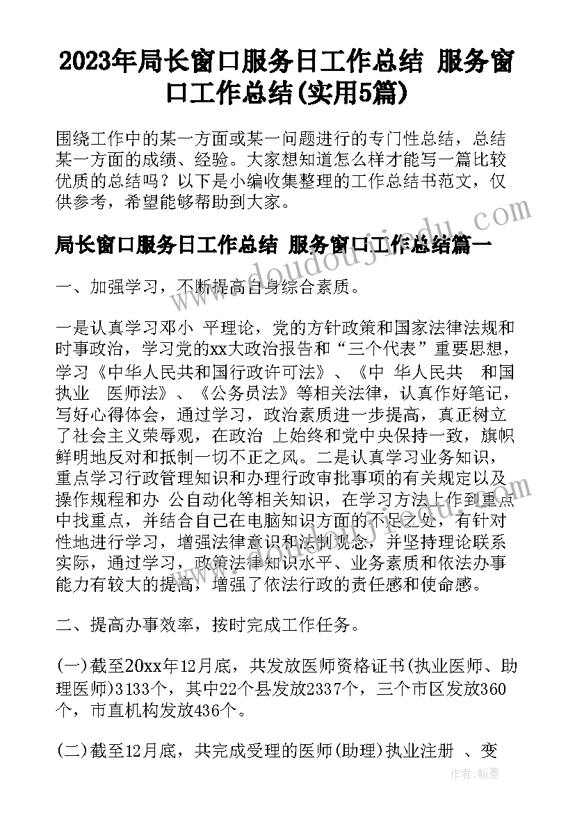 2023年局长窗口服务日工作总结 服务窗口工作总结(实用5篇)