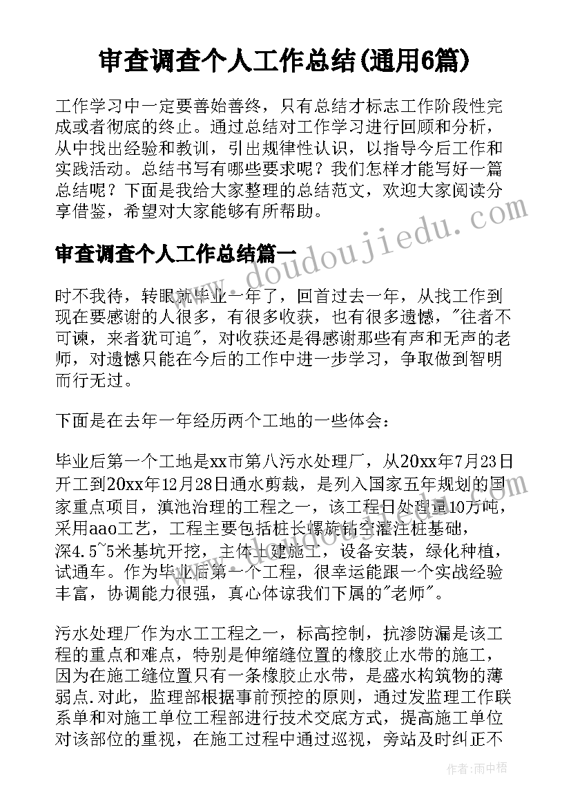 审查调查个人工作总结(通用6篇)