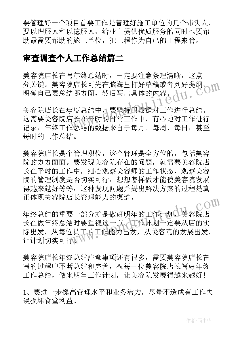 审查调查个人工作总结(通用6篇)