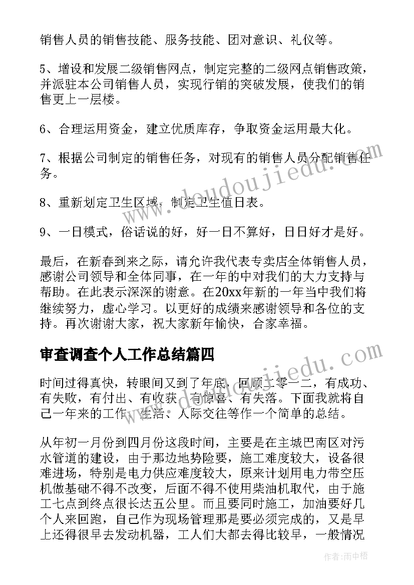 审查调查个人工作总结(通用6篇)