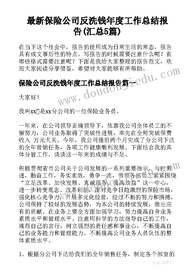 最新保险公司反洗钱年度工作总结报告(汇总5篇)