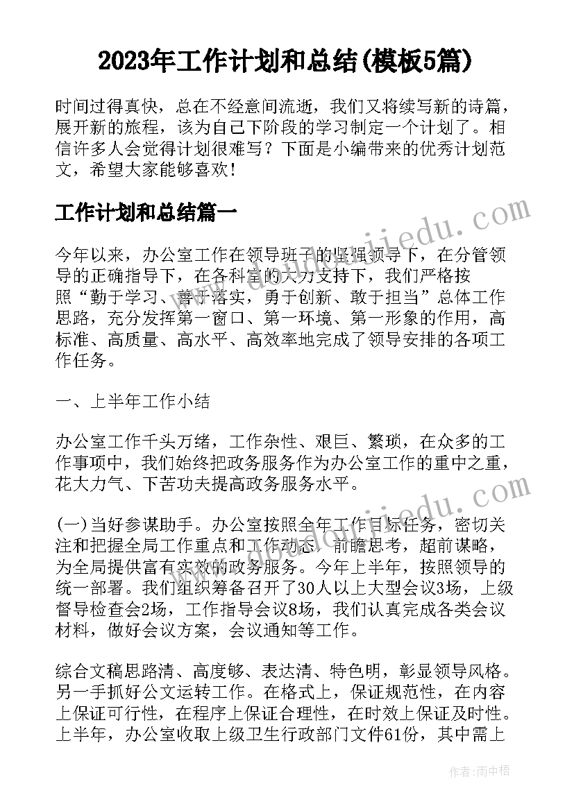 2023年工作计划和总结(模板5篇)