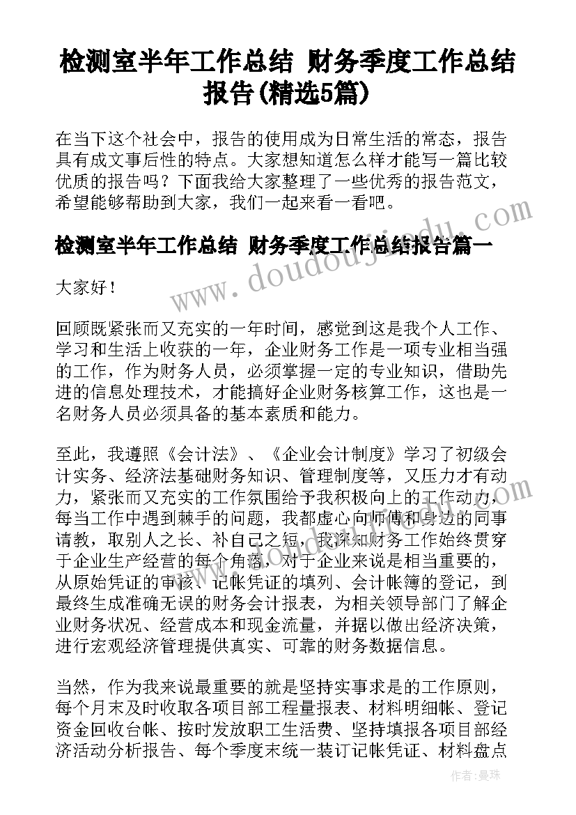 检测室半年工作总结 财务季度工作总结报告(精选5篇)