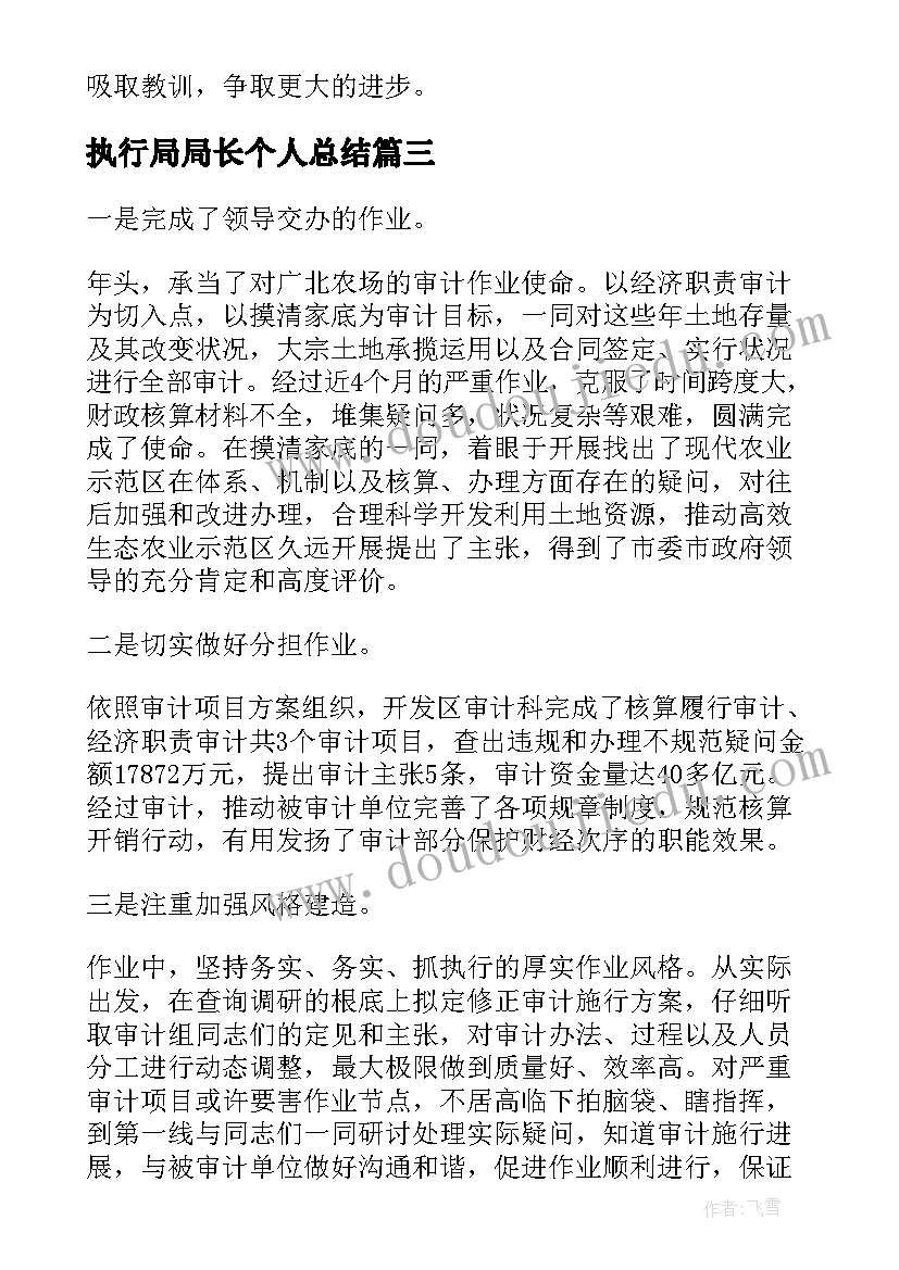 执行局局长个人总结(实用5篇)