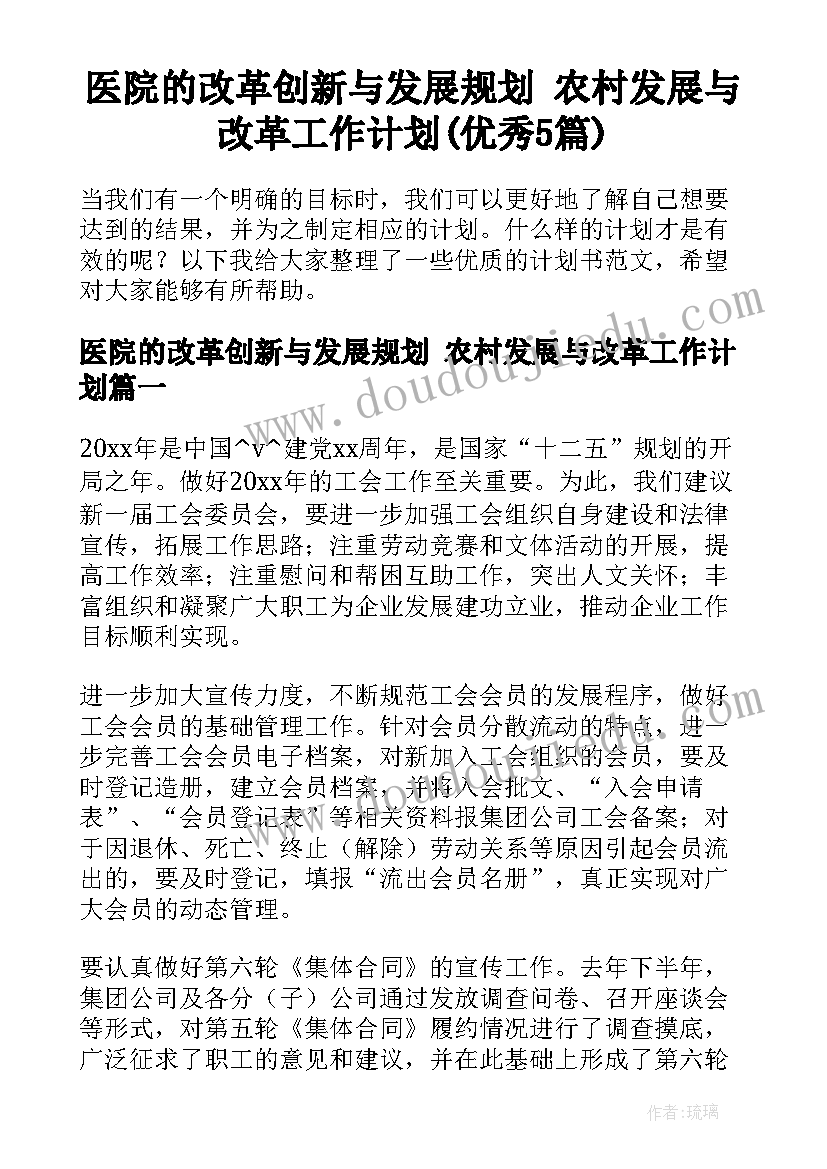 医院的改革创新与发展规划 农村发展与改革工作计划(优秀5篇)