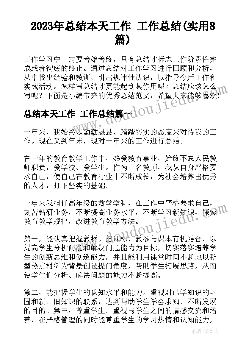 2023年总结本天工作 工作总结(实用8篇)