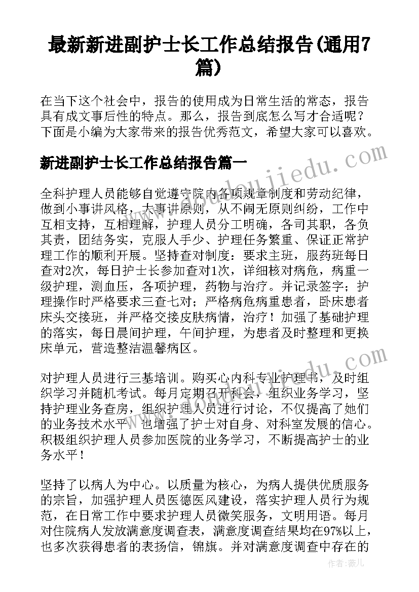 最新新进副护士长工作总结报告(通用7篇)