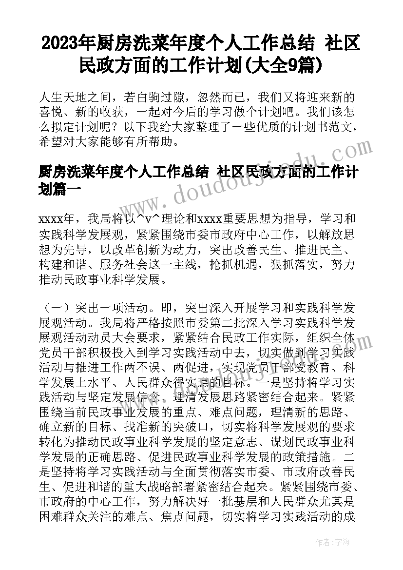 2023年厨房洗菜年度个人工作总结 社区民政方面的工作计划(大全9篇)