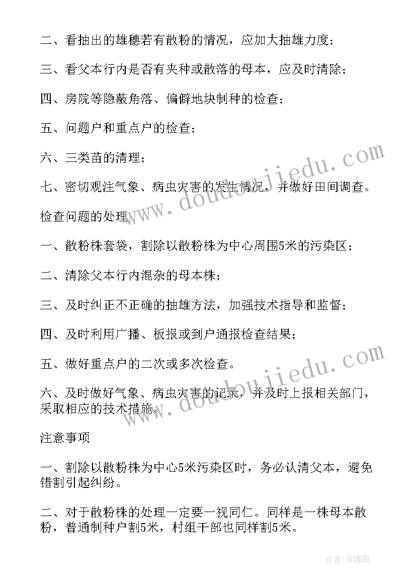 最新摘玉米活动 玉米制种工作总结(优质9篇)