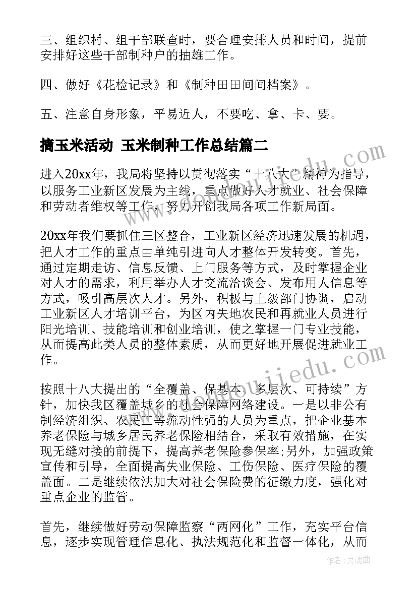 最新摘玉米活动 玉米制种工作总结(优质9篇)