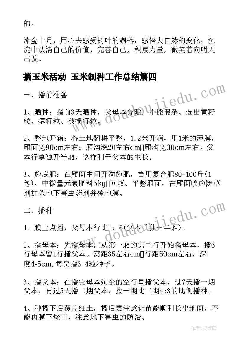 最新摘玉米活动 玉米制种工作总结(优质9篇)