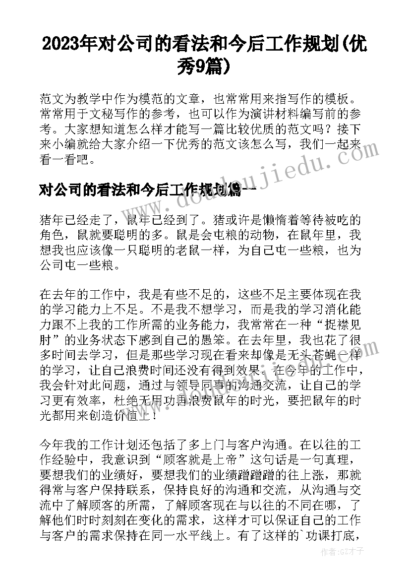 2023年对公司的看法和今后工作规划(优秀9篇)