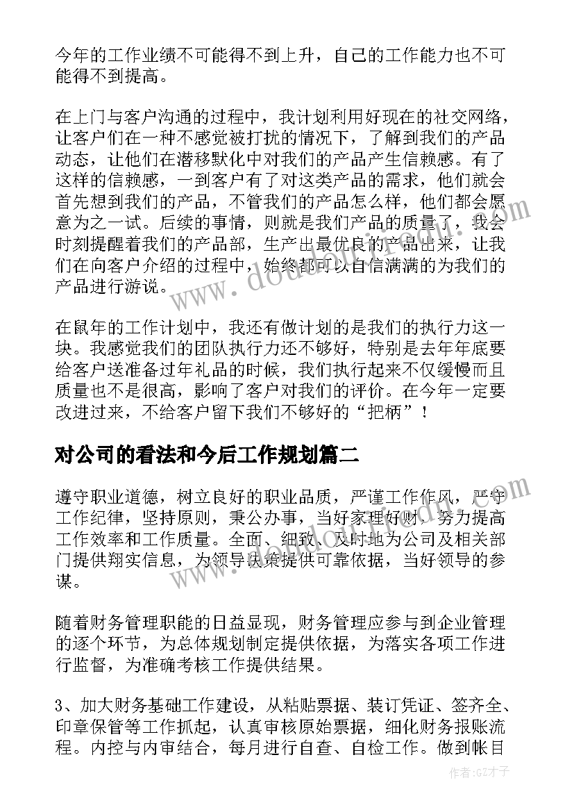 2023年对公司的看法和今后工作规划(优秀9篇)