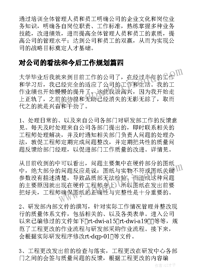 2023年对公司的看法和今后工作规划(优秀9篇)