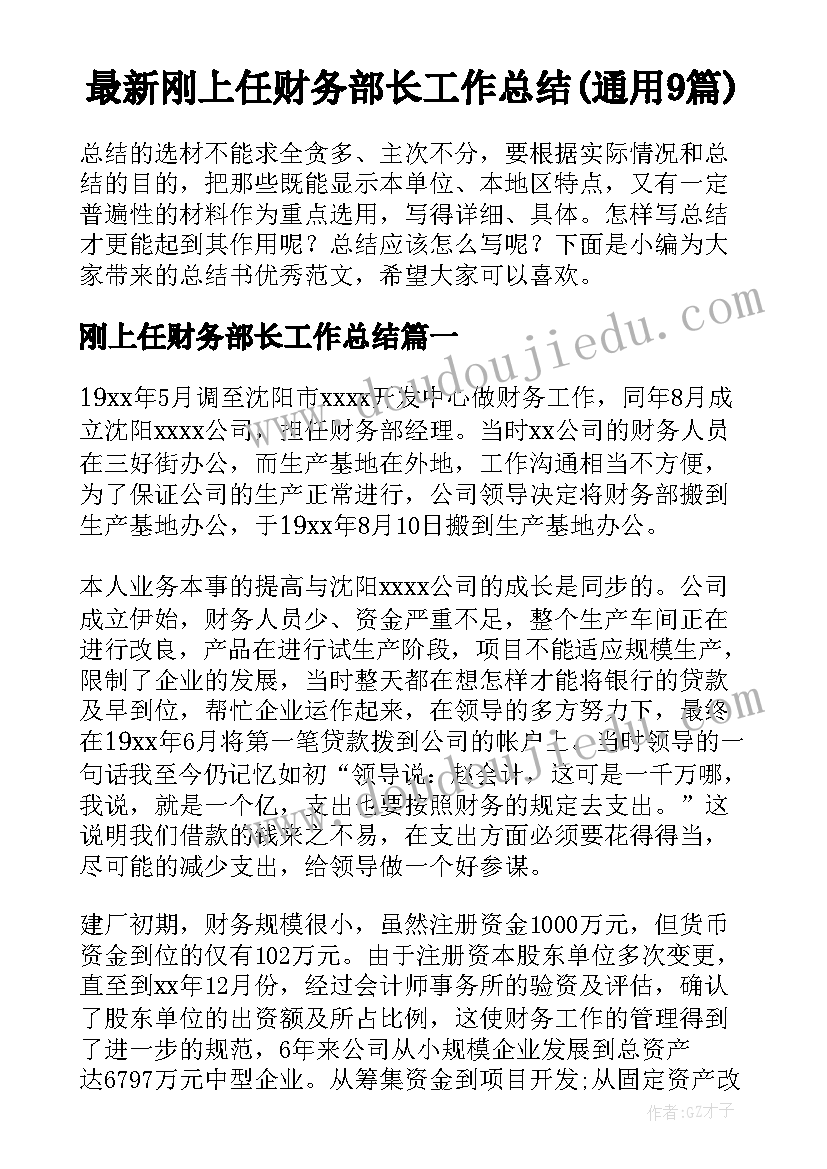 最新刚上任财务部长工作总结(通用9篇)