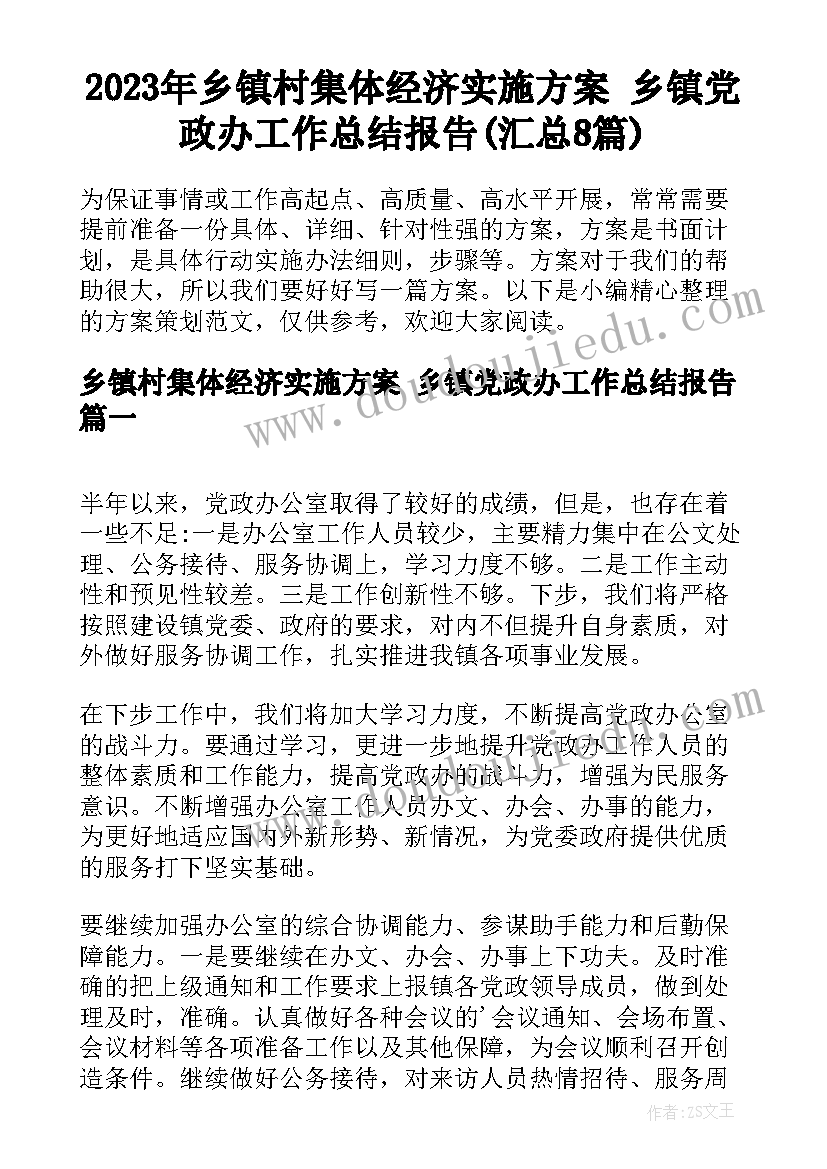 2023年乡镇村集体经济实施方案 乡镇党政办工作总结报告(汇总8篇)