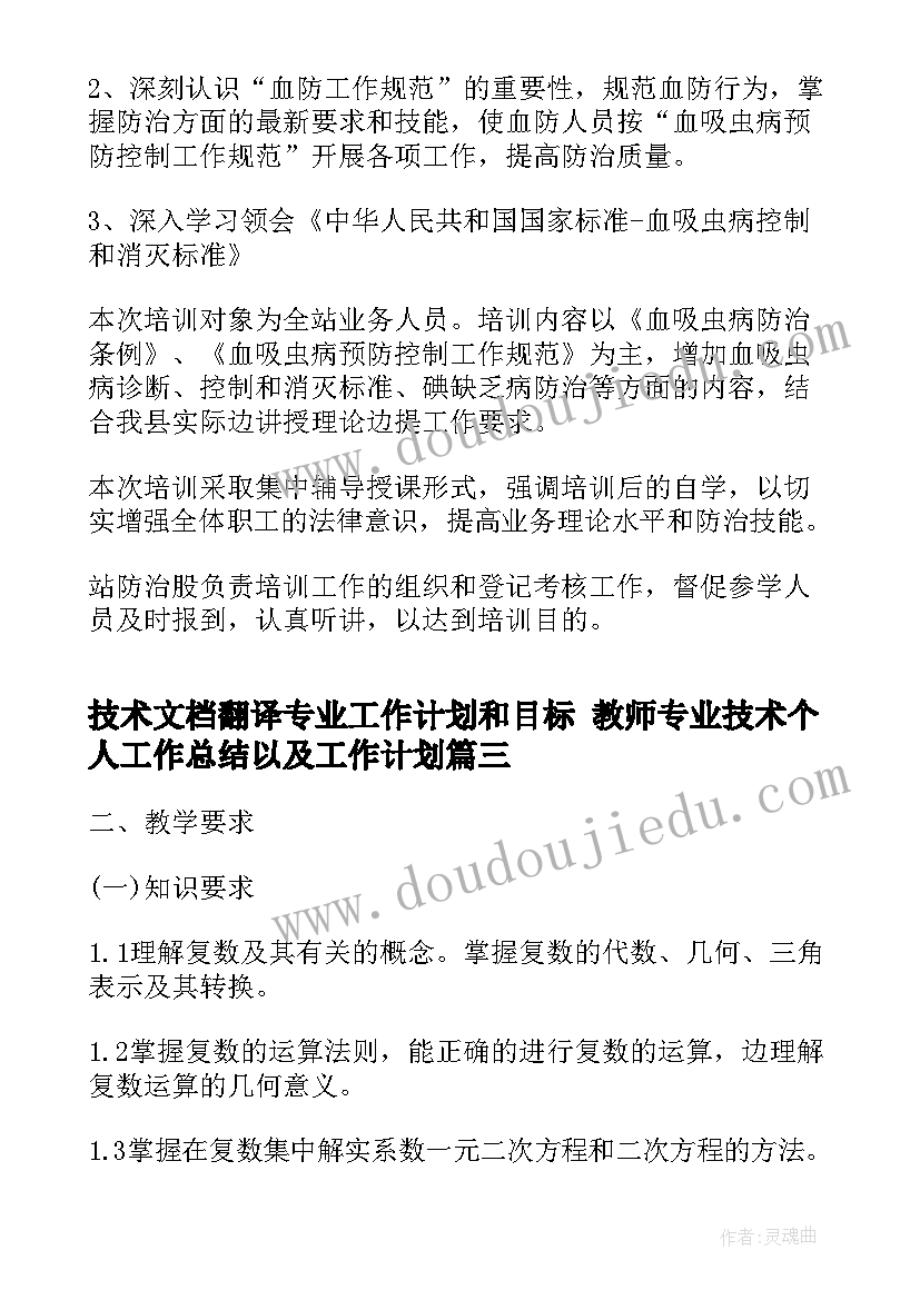 技术文档翻译专业工作计划和目标 教师专业技术个人工作总结以及工作计划(大全5篇)