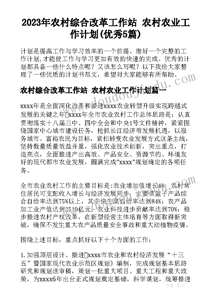 2023年农村综合改革工作站 农村农业工作计划(优秀5篇)