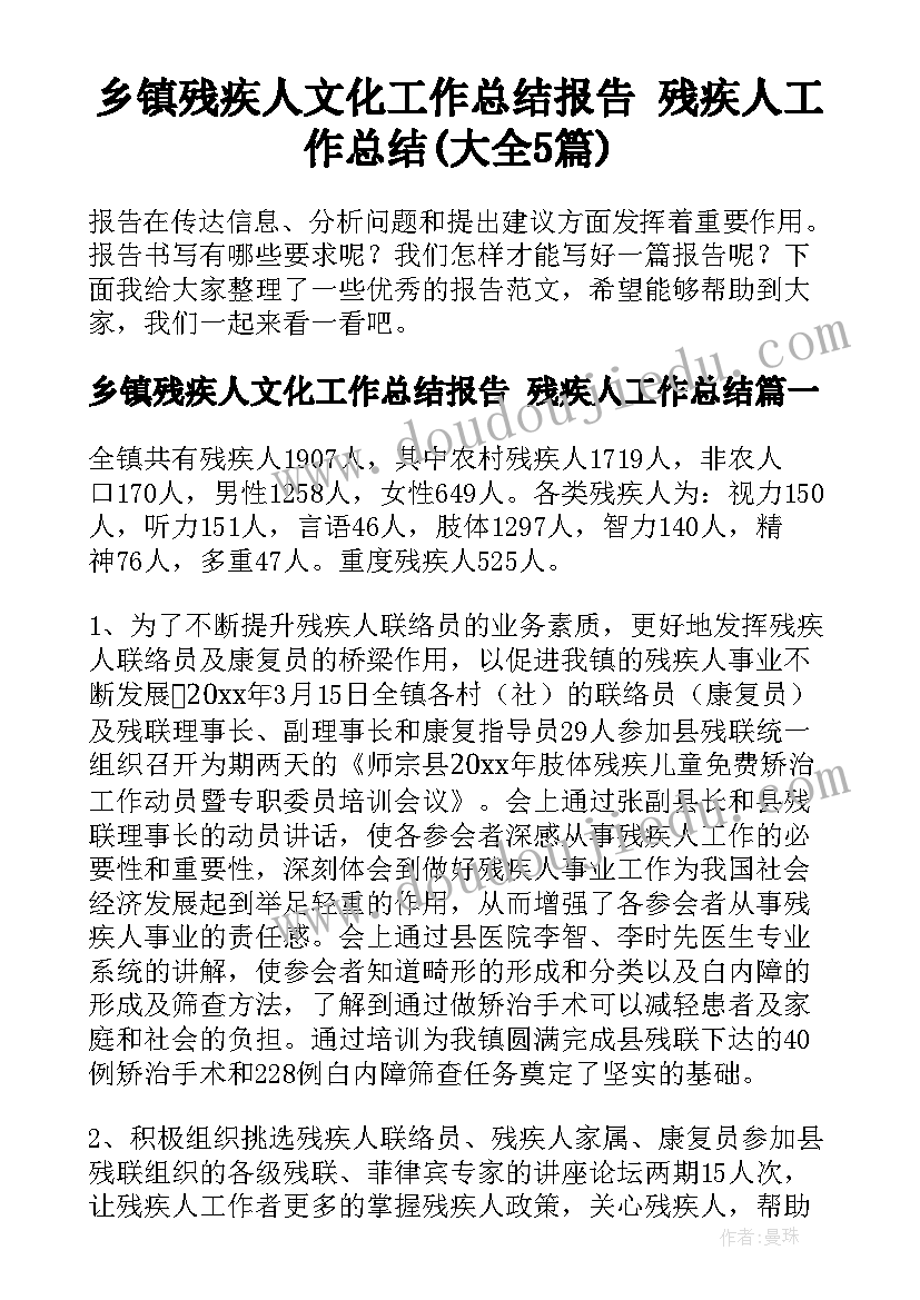 乡镇残疾人文化工作总结报告 残疾人工作总结(大全5篇)